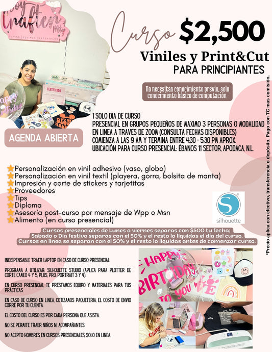 Curso de Viniles y Print&cut (Anticipo)